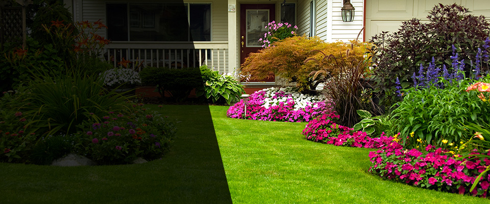 Kings Mountain Landscapers