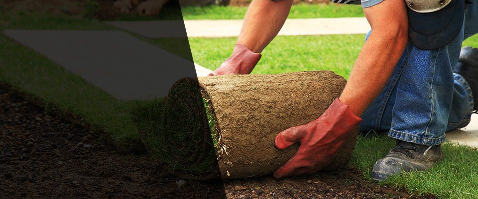 Kings Mountain Landscapers